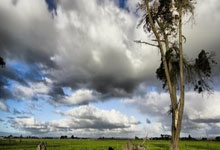  萨拉赫现在在哪个球队 